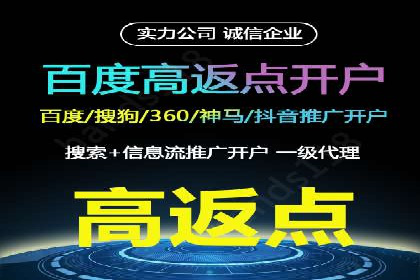 百度竞价广告运营的技巧与误区：成功案例解析